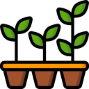 Seedlings icons created by Smashicons - Flaticon